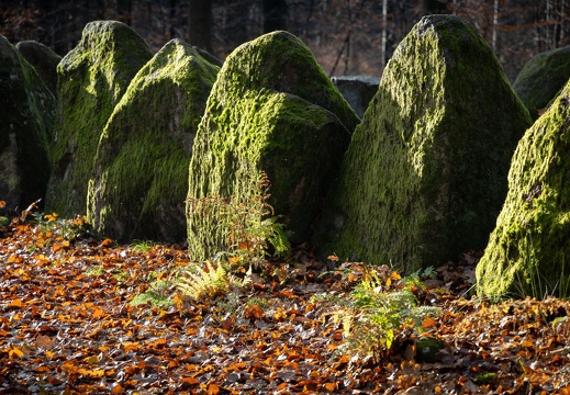 Großsteingrab im Kleckerwald
