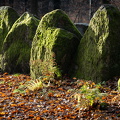Großsteingrab im Kleckerwald.jpg