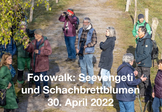 	Fotowalk: „Seevengeti / Seeveniederung u. Schachbrettblumen