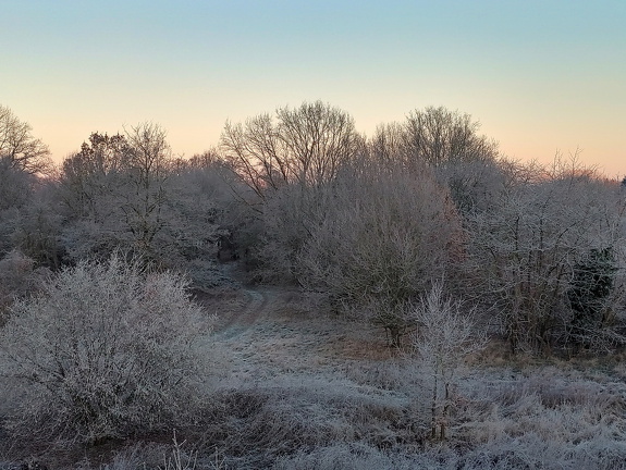 Wintermorgen hdr DxO