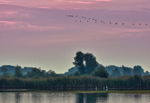 Frühmorgens in Drennhausen