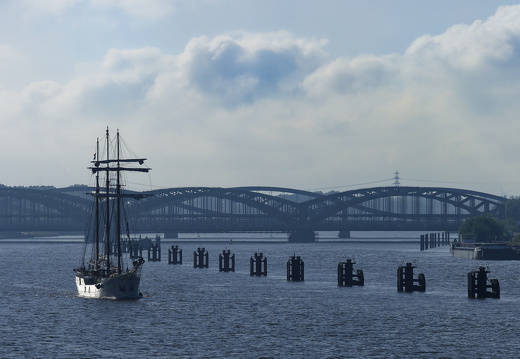 Blick auf die Elbe