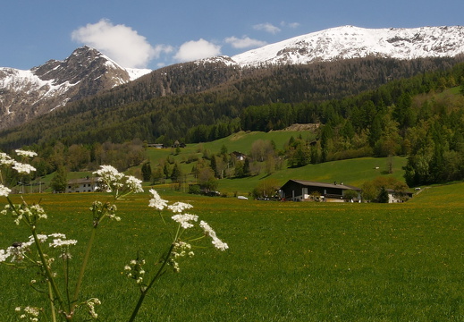 Südtiroler Bauernhof