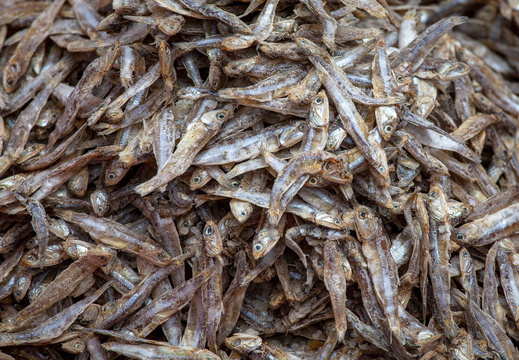 Toter Fisch