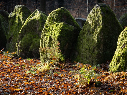 Großsteingrab im Kleckerwald