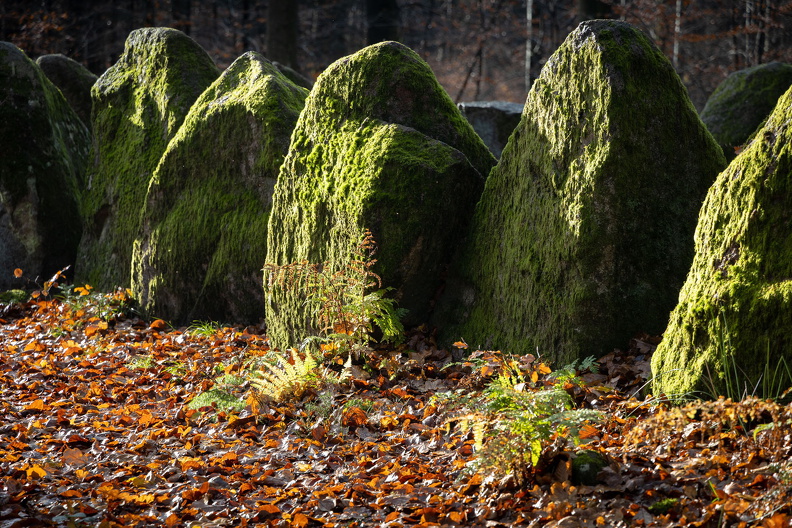 Großsteingrab im Kleckerwald.jpg