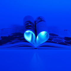 Das (blaue)  Buch