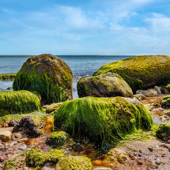 Strand der Steine