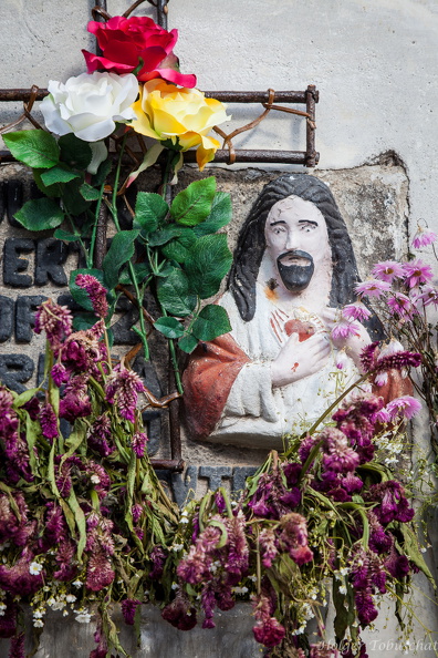Jesus liebt auch Blumen.jpg