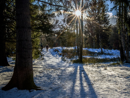 Spaziergang im Winterwald