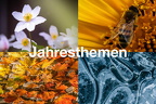 Jahresthemen