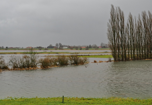 Überflutung der Elbe