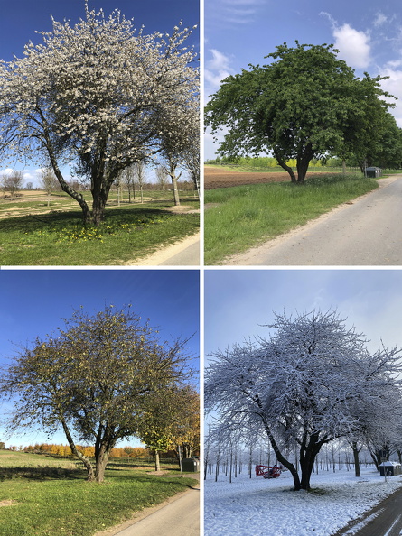 5_S1_S_Steffi Wolkenhauer_Frei_1920.jpg