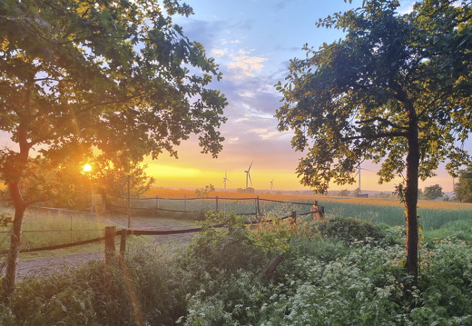 Sonnenuntergang Kirsten Frank