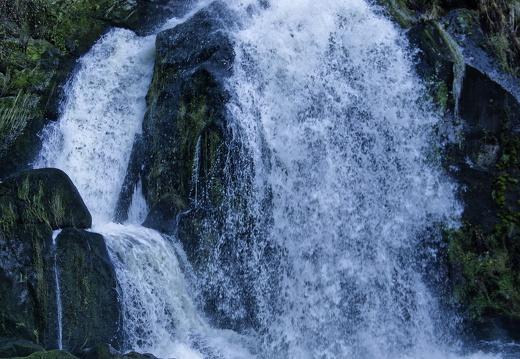 Triberg