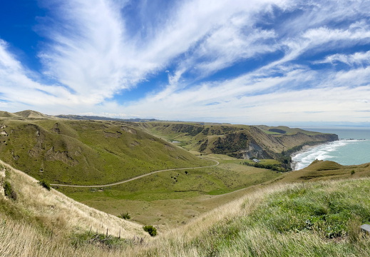 2023-02-05-Neuseeland-austral. Toelpel-1083