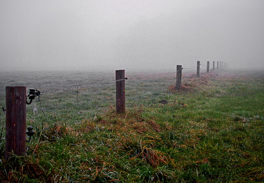 Vom Nebel verschluckt