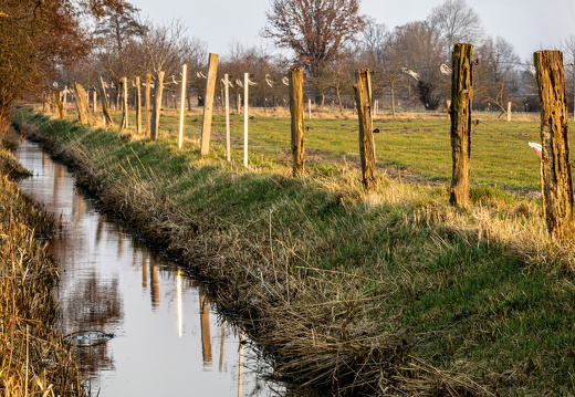 Spiegelung