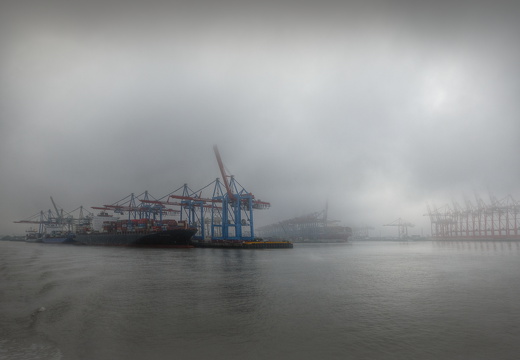 Nebel im Hafen
