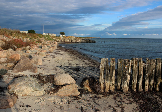 Buhnen auf Fehmarn