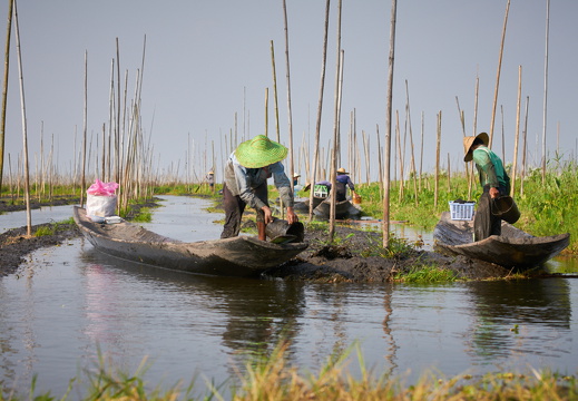 Bauernhof - aquatisch
