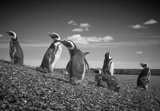 2025-08 S/W Fotografie