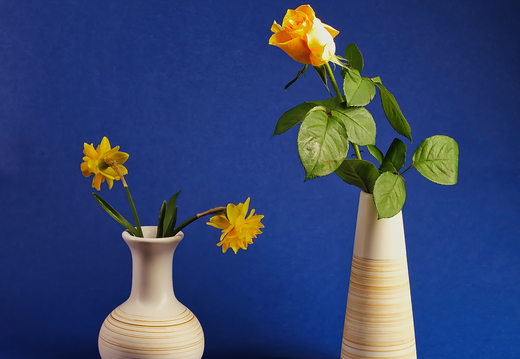 Gelbe Blumen
