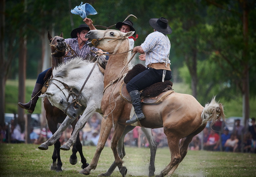 Rodeo