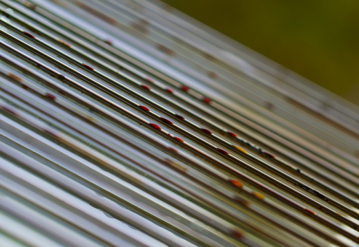 Der Grill-Rost